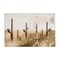 Stupell Industries Sepia Cacti Field Canvas Wall Art Design by Dan Meneely